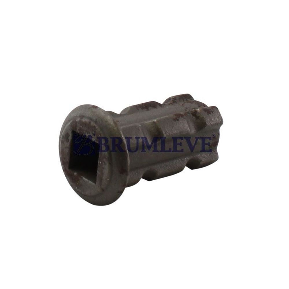 Brumleve Gudgeon **